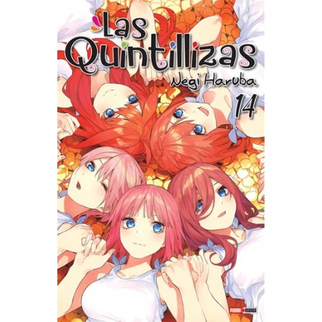 Las Quintillizas Vol. 14