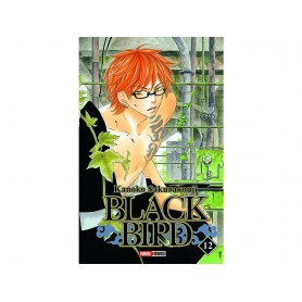 Black Bird Vol. 12