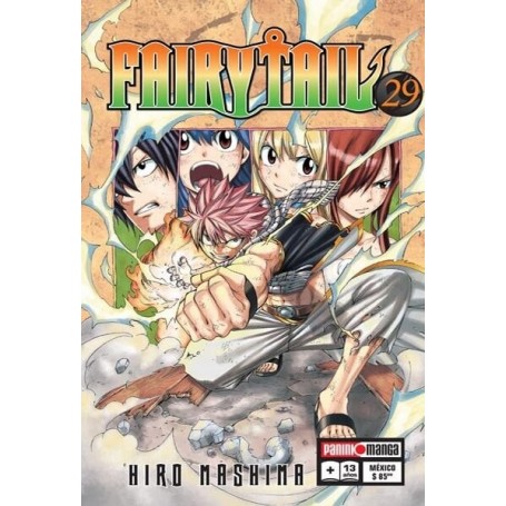 Fairy Tail Vol. 29