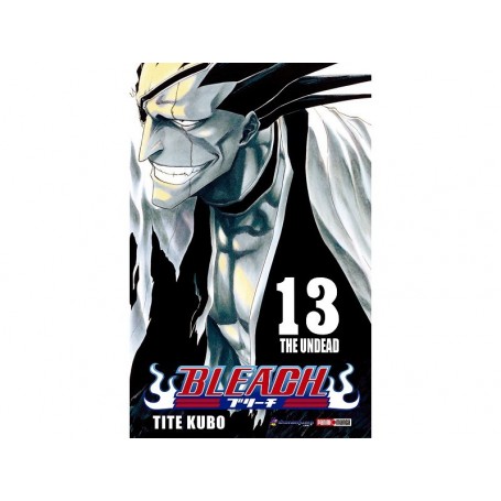 Bleach Vol. 13