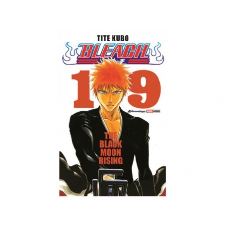 Bleach Vol. 19