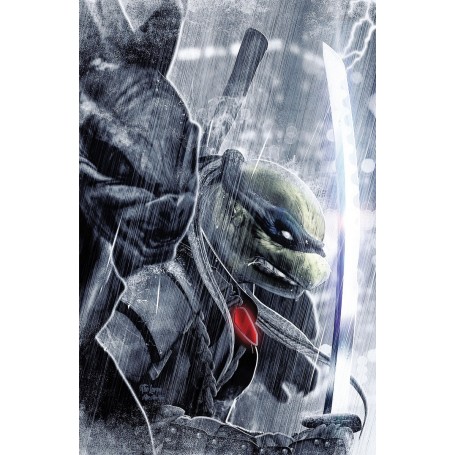 Teenage Mutant Ninja Turtles The Last Ronin 1r