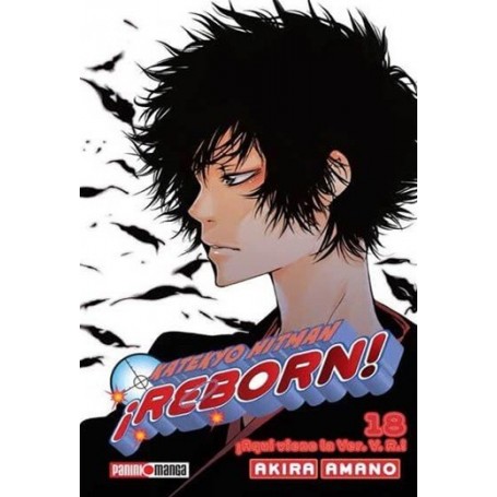 Katekyo Hitman Reborn Vol. 18