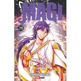 Magi the Labyrinth of Magic Vol. 29