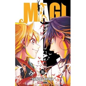 Magi the Labyrinth of Magic Vol. 35