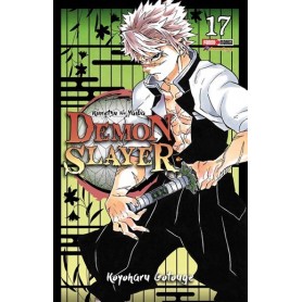 Demon Slayer Vol. 17