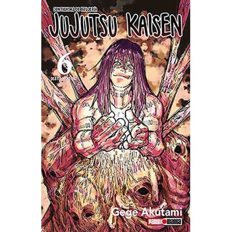 Jujutsu Kaisen Vol. 06