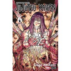 Jujutsu Kaisen Vol. 06