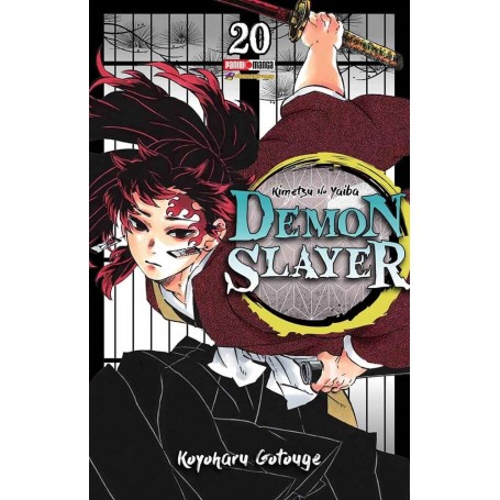 Demon Slayer Vol. 20